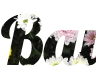 Seu texto online fundo flores - fonte PNG bonita Lobster