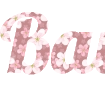 Criar frase bonita com fundo de flores de cerejeira - fonte Lobster png