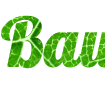 Construtor online de textos - crie sua legenda com fundo de folha verde - fonte Lobster